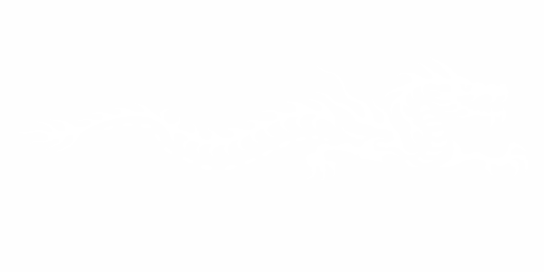 Preview: Autoaufkleber Dragon