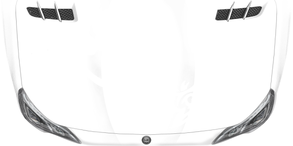 Preview: Autotattoo Echse Jolanda