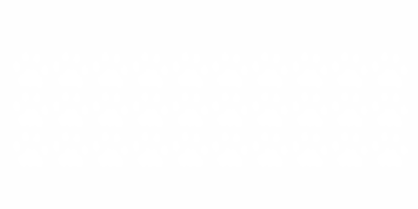 Preview: Autoaufkleber Tierpfoten Preview: Autoaufkleber Tierpfoten - Frei platzierbare Elemente und Farbauswahl