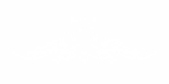 Car Vinyl Tiger Tribal