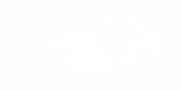 Preview: Autodekor Tiger Blitz