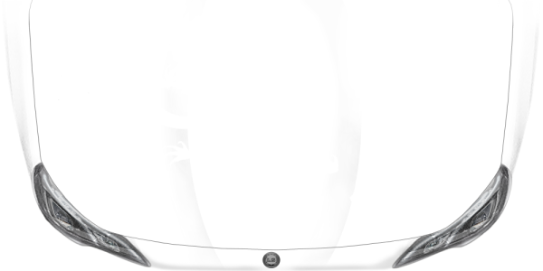 Preview: Autotattoo Echse