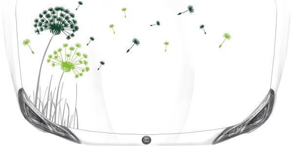 Preview: Autoaufkleber Bunte Pusteblume Preview: Autoaufkleber Bunte Pusteblume