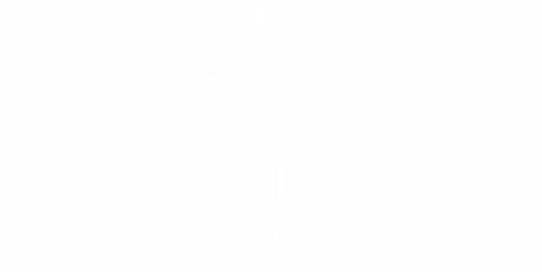 Preview: Autoaufkleber Stilvolle Ranke