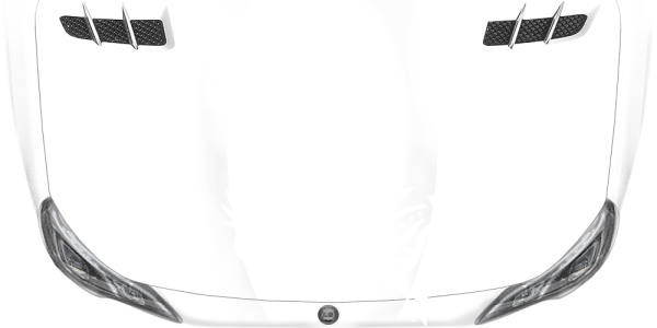 Preview: Autotattoo Echse Elli