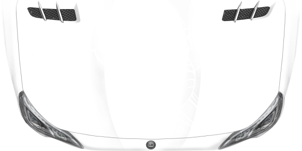 Preview: Auto Tattoo Elefant Preview: Auto Tattoo Elefant
