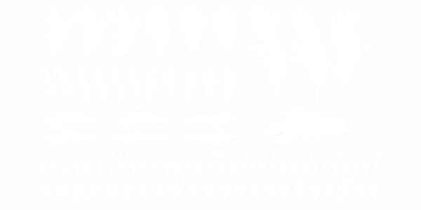 Autoaufkleber schwebende Federn - Frei platzierbare Elemente und Farbauswahl