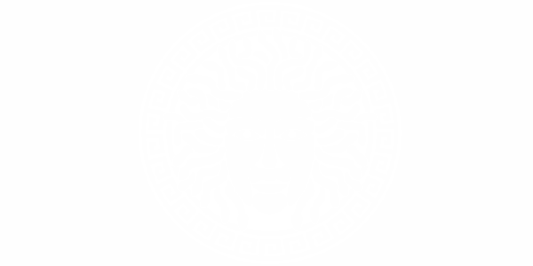 Preview: Car Tattoo Keltischer Sonnengott