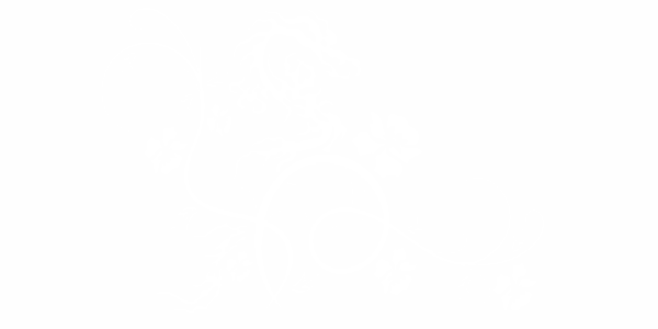 Preview: Autoaufkleber Styling Drachen