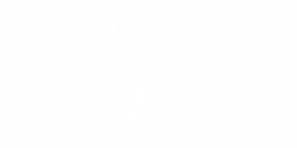 Preview: Auto Aufkleber Tiger Kopf