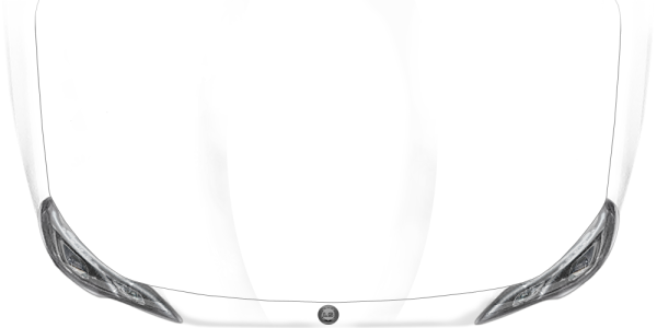 Preview: Blumenaufkleber Frühlingsblumen Preview: Blumenaufkleber-Fruehlingsblumen auf heller Motorhaube - Ansicht Farbauswahl