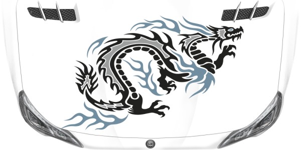 Preview: Buntes Autotattoo Drachen Temeraire