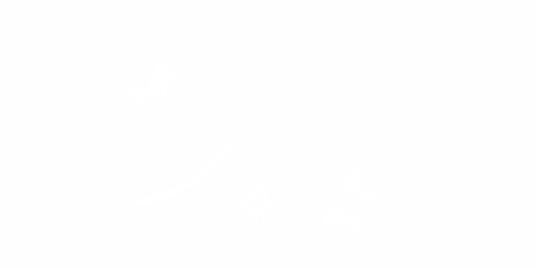 Preview: Car Tattoo Edelornament