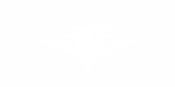 Preview: Car Vinyl Decor Tribal