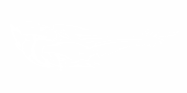 Preview: Cardesign Powerman