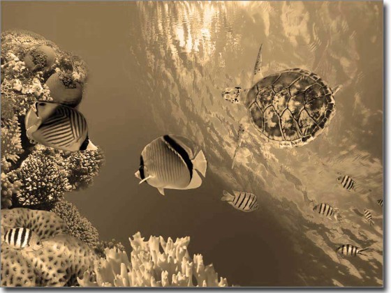 Preview: Glasprint unter Wasser Preview: Glasprint unter Wasser