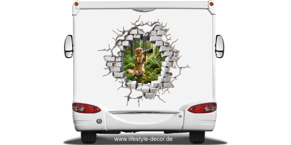 Preview: Eigenes Foto als Autofolie Loch in der Wand