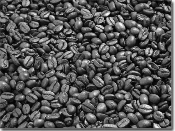 Glasbild mit Kaffeebohnen in schwarz weiß