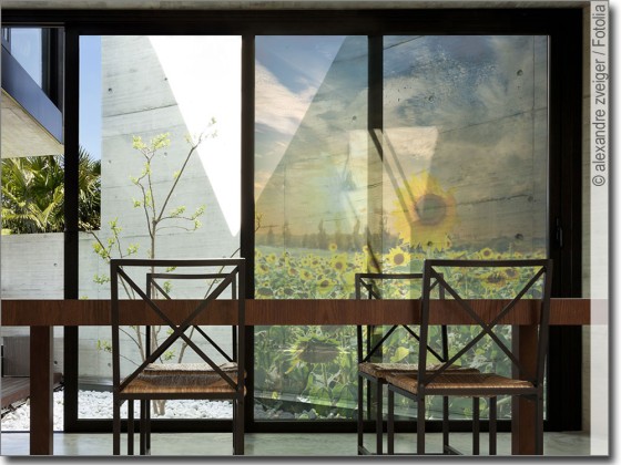 Preview: Sonnenblumen Feld