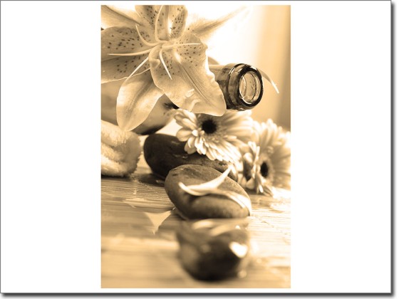 Preview: Glasfolie mit Lilie