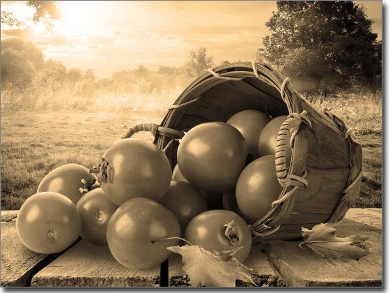 Preview: Küchenbild Tomaten