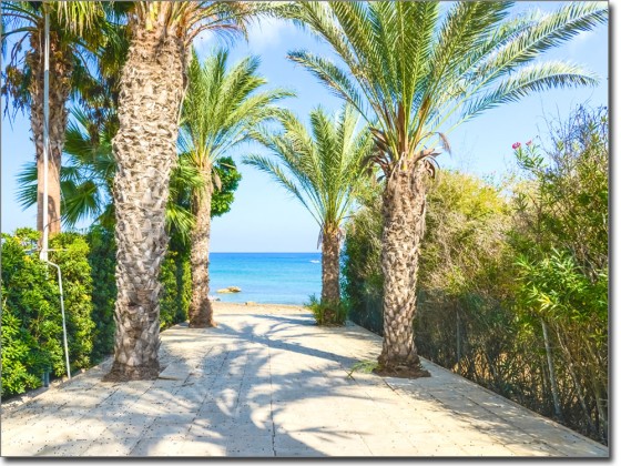 Preview: Fotofolie Weg zum Strand