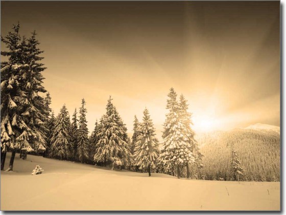 Preview: Winter und Schnee Preview: Winter und Schnee