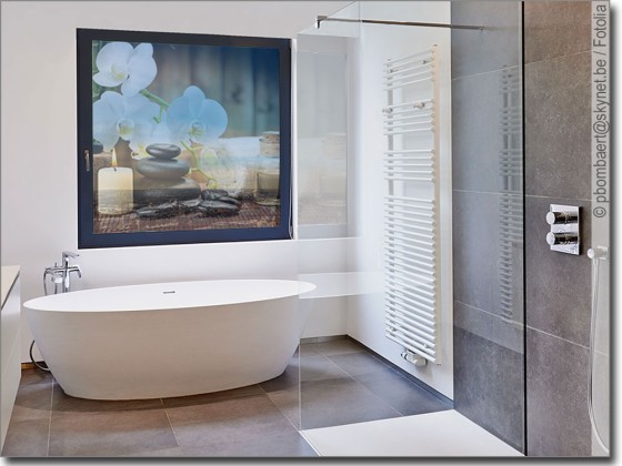 Preview: Orchidee Harmonie