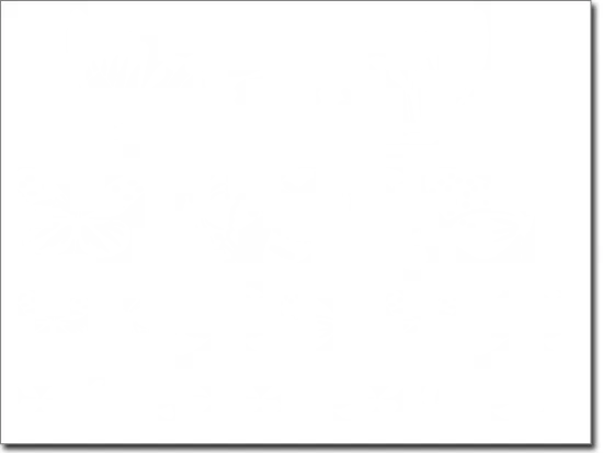 Glassticker Schmetterling