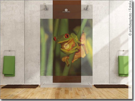 Preview: Fenster Foto Frosch Preview: Fenster Foto Frosch
