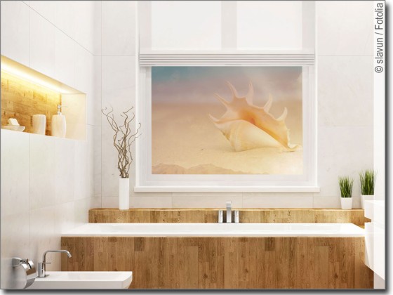 Preview: Weiße Muschel Preview: Weiße Muschel