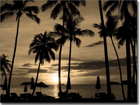 Preview: Palmenstrand Sonnenuntergang Preview: Palmenstrand Sonnenuntergang