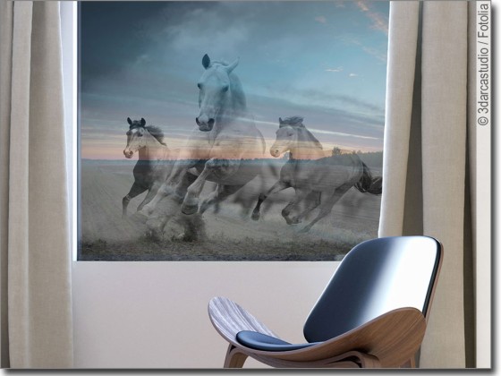 Preview: Tierdekor Wilde Pferde