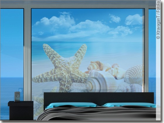 Preview: Fensterbild Seestern Preview: Fensterbild Seestern