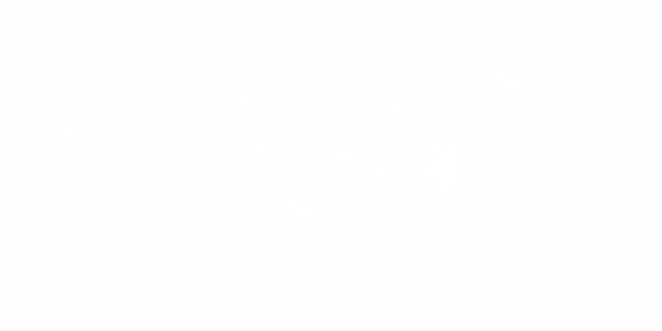 Preview: Aufkleber Tiger Preview: Aufkleber Tiger