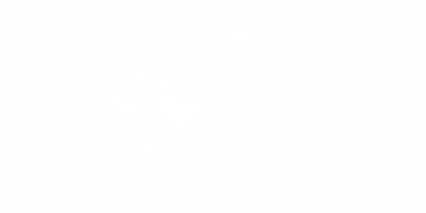 Preview: Car Tattoo Sensenmann