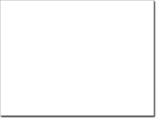 Wandtattoo Spinnennetz