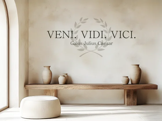 Wandtattoo Veni Vidi Vici