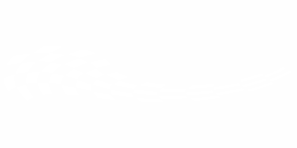 Preview: Cartattoo Flaggendekor