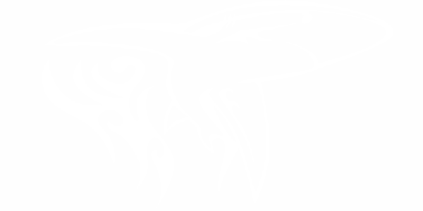 Preview: Autoaufkleber Hai