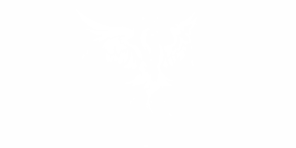 Preview: Autosticker Phönix