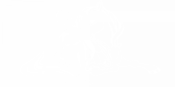 Preview: Autoaufkleber Fee mit Einhorn Preview: Autoaufkleber Fee mit Einhorn