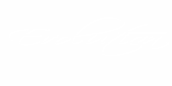 Preview: Car Tattoo Evolution Preview: Car Tattoo Evolution