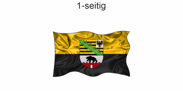 Sachsen-Anhalt Bootsflagge 30x45 Cm