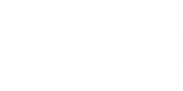 Preview: Cartattoo Flammenaufkleber 25