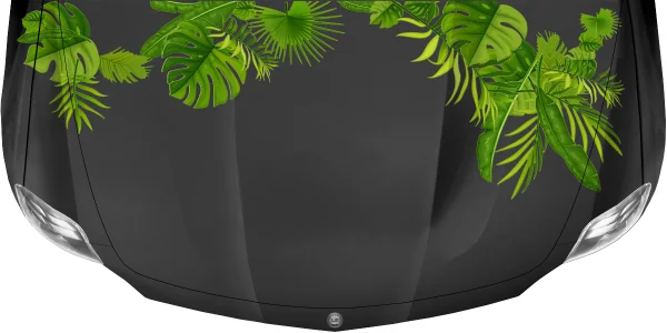 Aufkleber Dschungel Pflanzen Dekor Set auf dunkler Motorhaube
