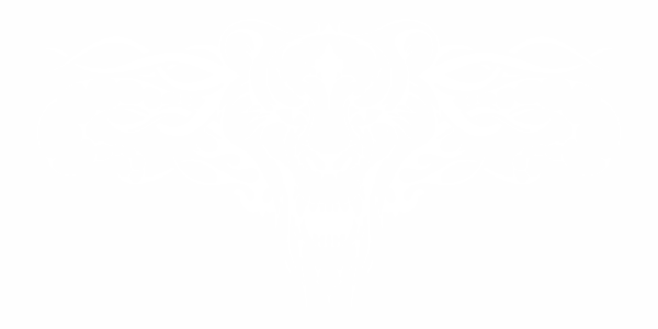 Preview: Autoaufkleber Tribal Drache