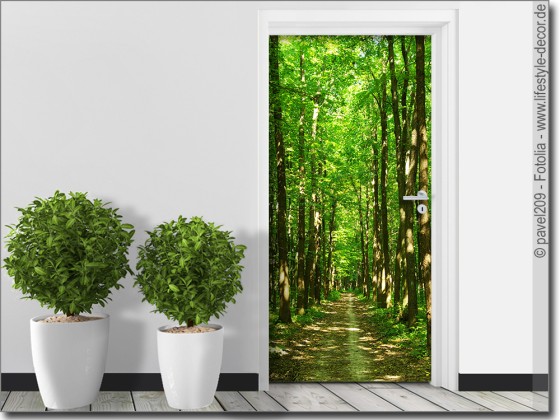 Preview: Türfolie Wald