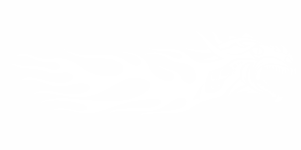 Preview: Auto Aufkleber Flamme Drachen