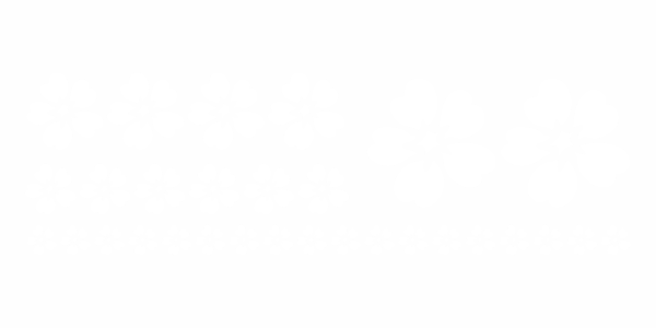 Preview: Außenwandtattoo Blumen Set Preview: Außenwandtattoo Set mit Blumen zur freien Platzierung - Ansicht Farbauswahl